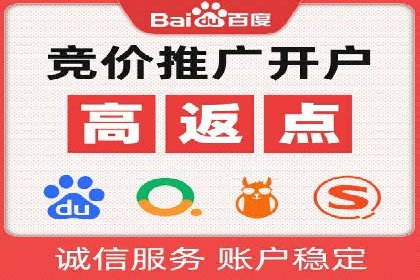 SEM专员的角色与成功案例解析