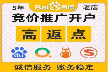 成功案例：SEM竞价代运营助力品牌崛起